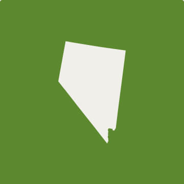 Nevada vector image